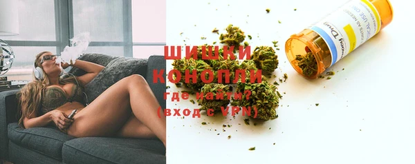 мет Няндома
