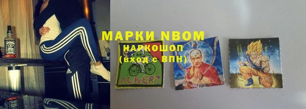 мет Няндома