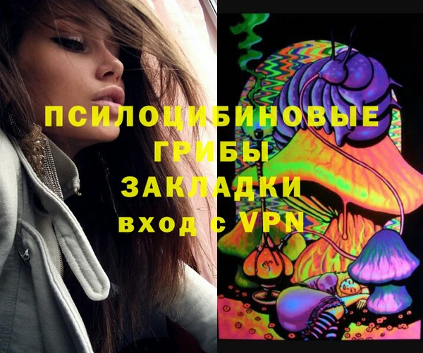 мяу мяу мука Осташков