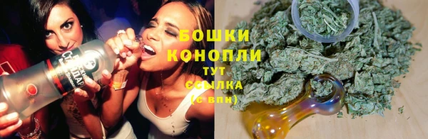 крисы Абдулино