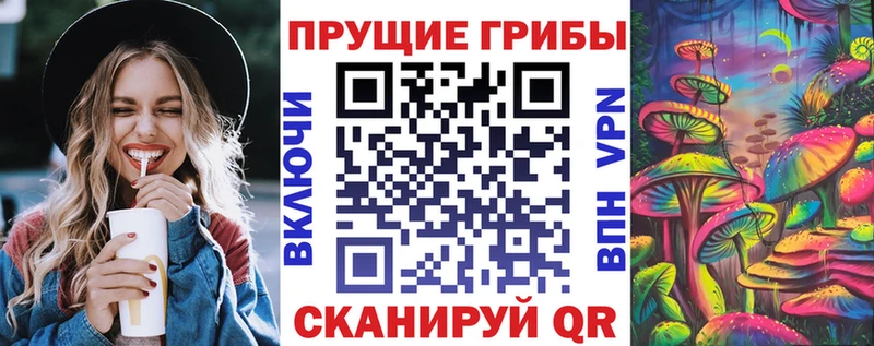 сколько стоит  Правдинск  MEGA ТОР  Псилоцибиновые грибы Magic Shrooms 